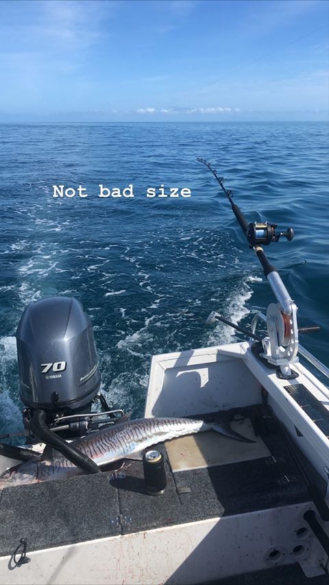 Downriggers are Deadly fishing photo 9