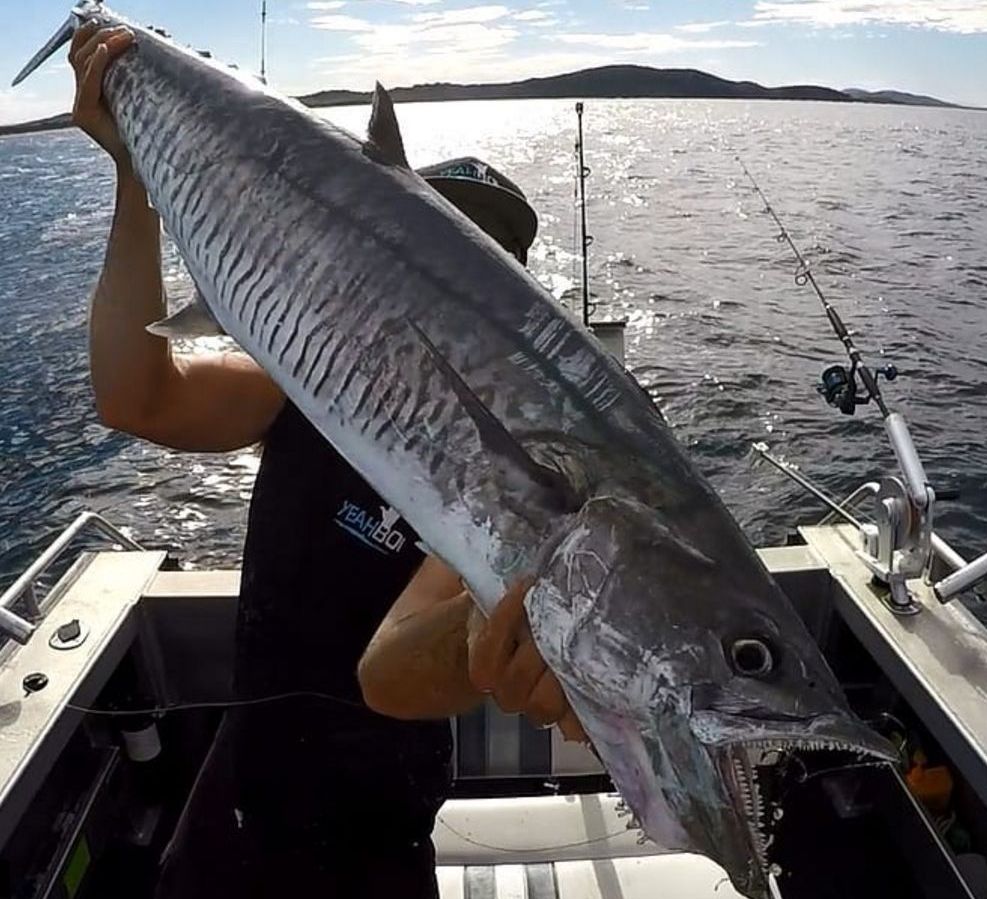 Downriggers Are Deadly fishing photo 6