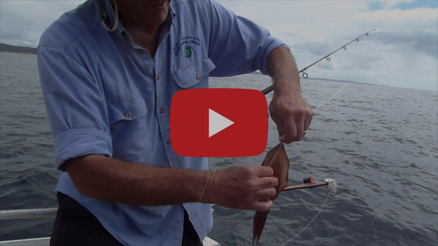 Downriggers Are Deadly fishing photo 14