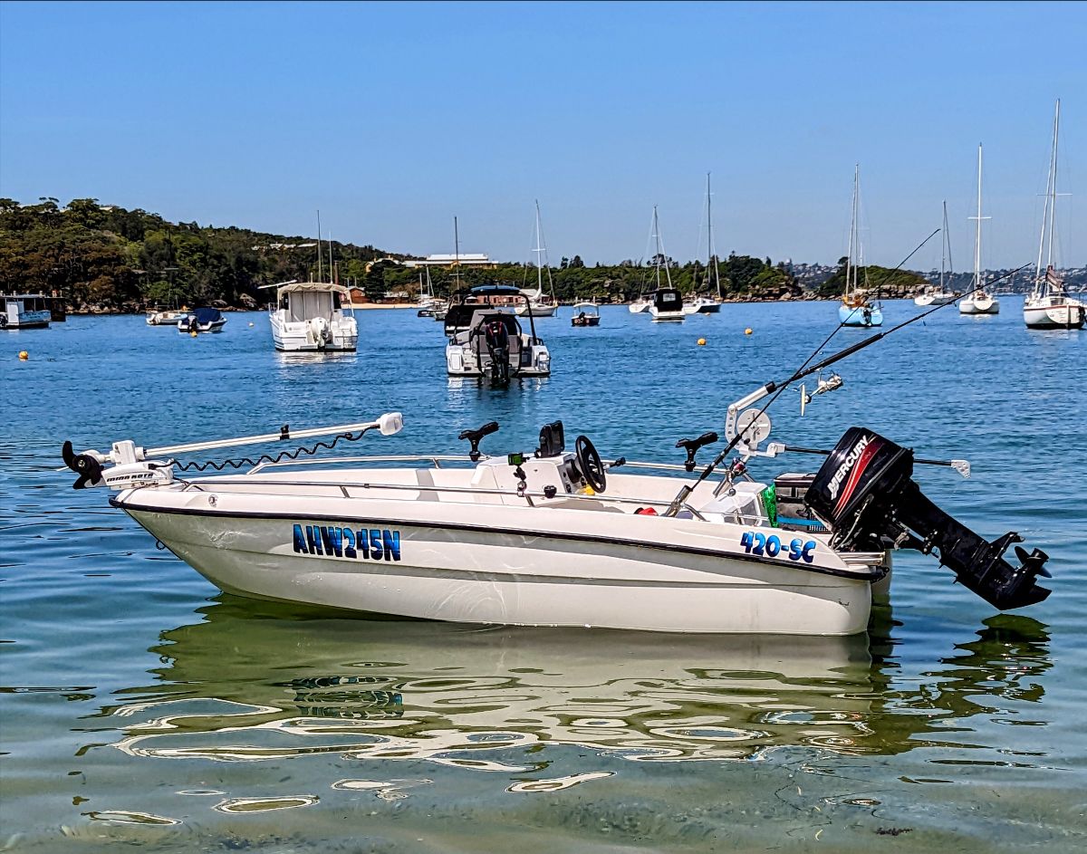 Downrigging Basics fishing photo 1