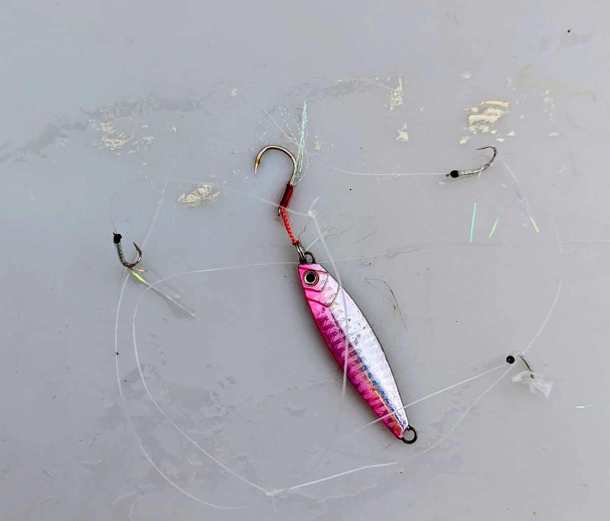 Downrigging Basics fishing photo 2