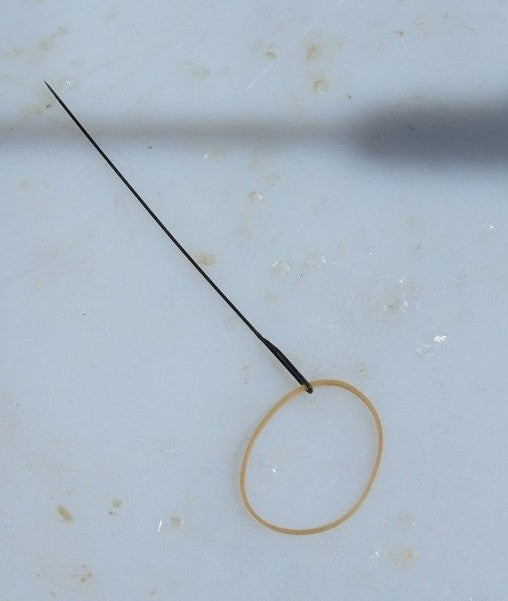 Downrigging Basics fishing photo 3