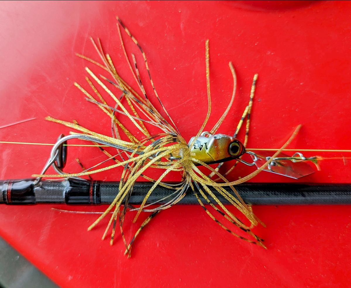 Downrigging Bass - the deadly new technique fishing photo 2