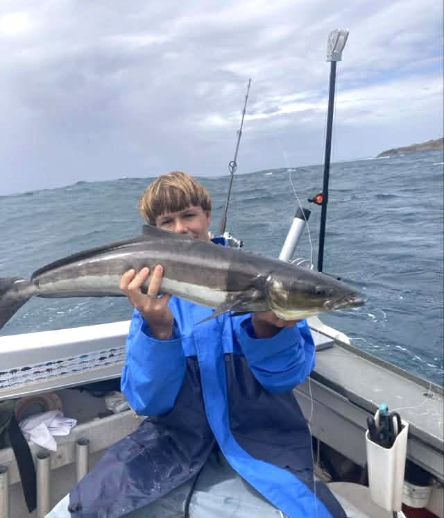 Downrigging Cobia fishing photo 4