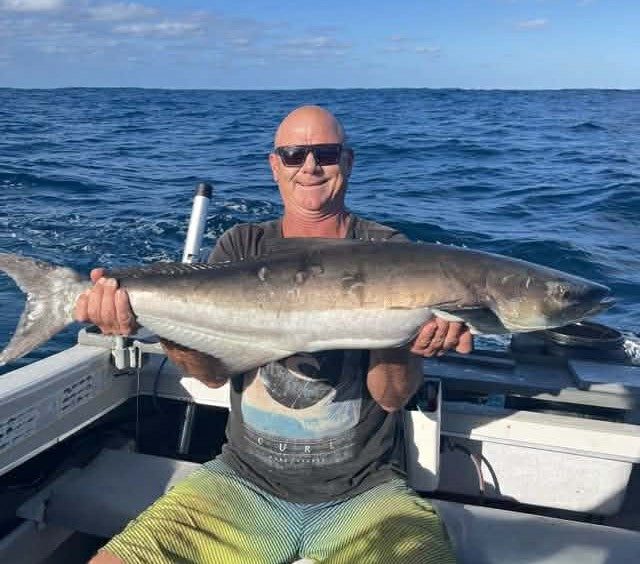 Downrigging Cobia fishing photo 6