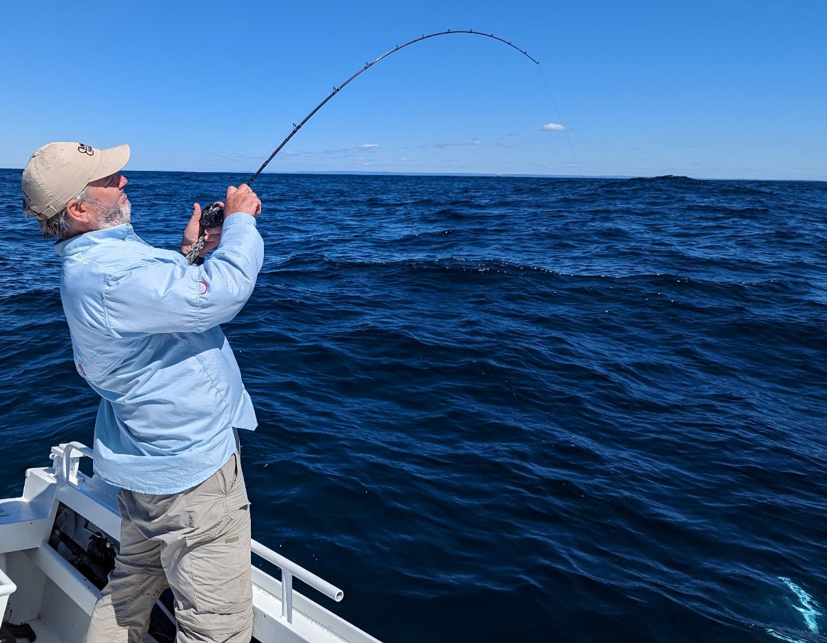 Downrigging for Dollies fishing photo 5