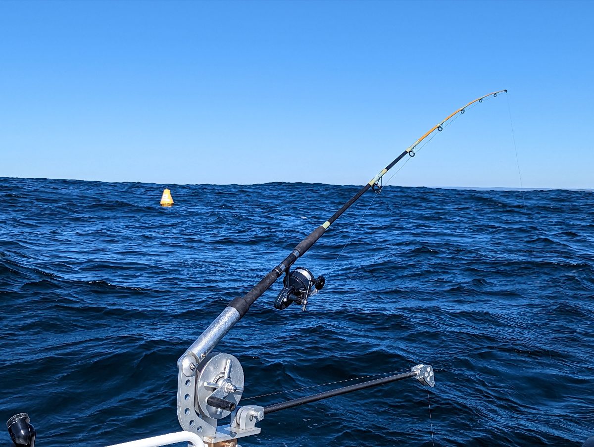 Downrigging for Dollies fishing photo 7
