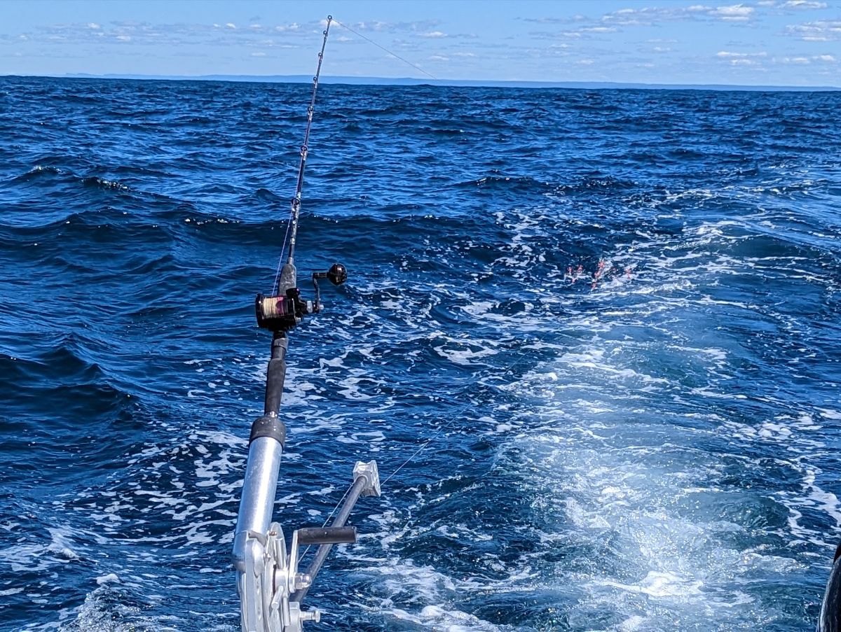 Downrigging for Dollies fishing photo 9