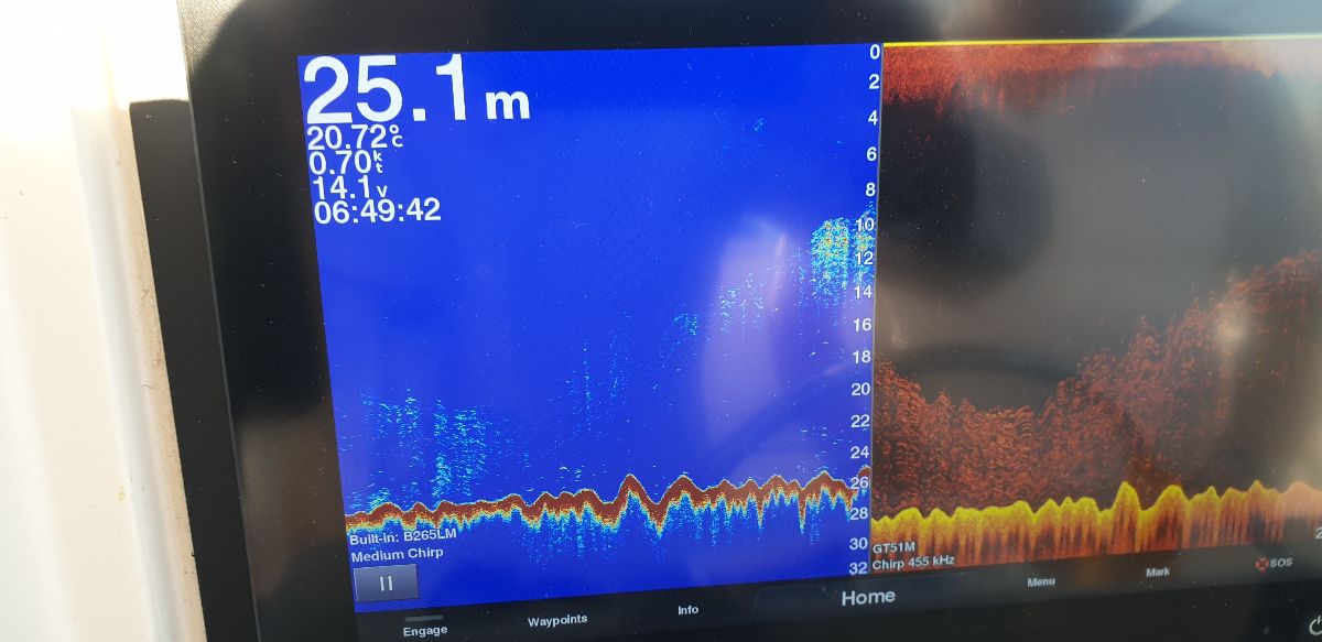 Electric Downrigging Makes It Easy fishing photo 2