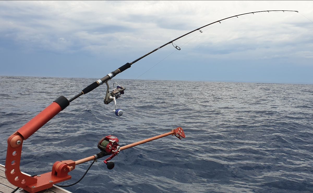 Electric Downrigging Makes It Easy fishing photo 5