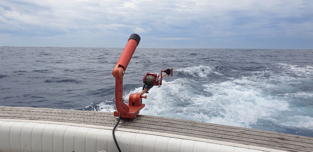 Electric Downrigging Makes It Easy fishing photo 7