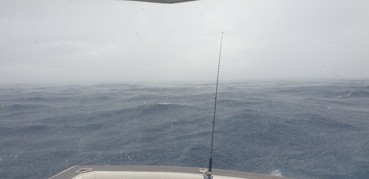 FAD Hopping fishing photo 2