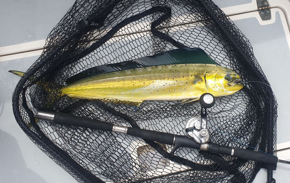 FAD Hopping fishing photo 13