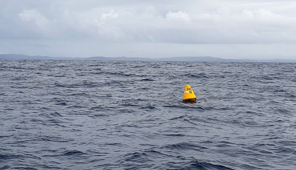 FAD Hopping fishing photo 14