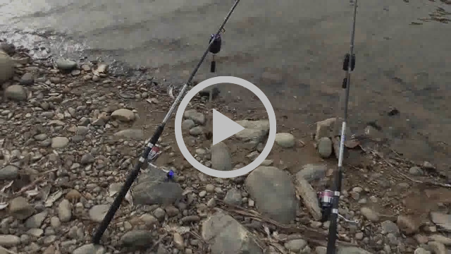 Family and Friends Fishing Options fishing photo 15
