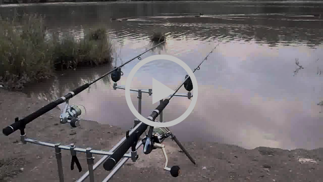 Family and Friends Fishing Options fishing photo 23