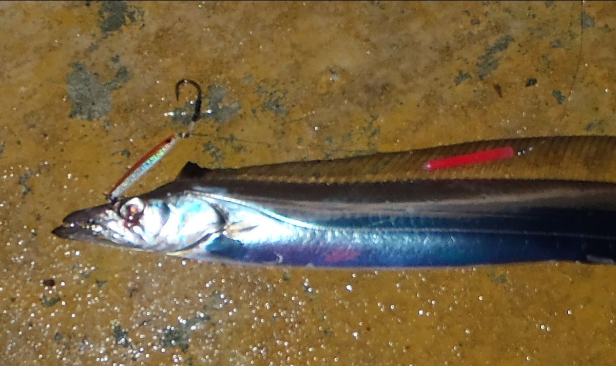 Fangs for the Memories fishing photo 2