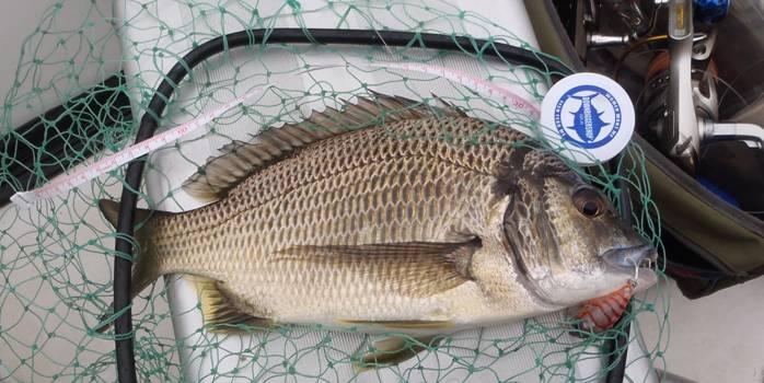 Feb 2017 report fishing photo 27