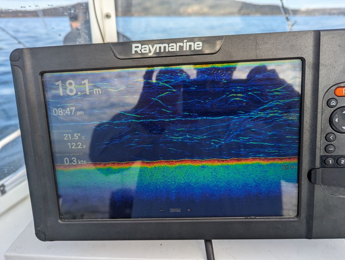 First Kingfish fishing photo 2