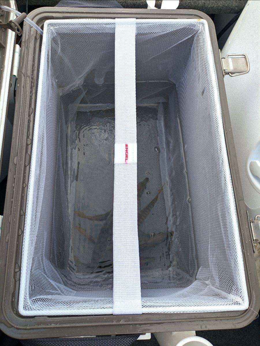 First Kingfish fishing photo 3