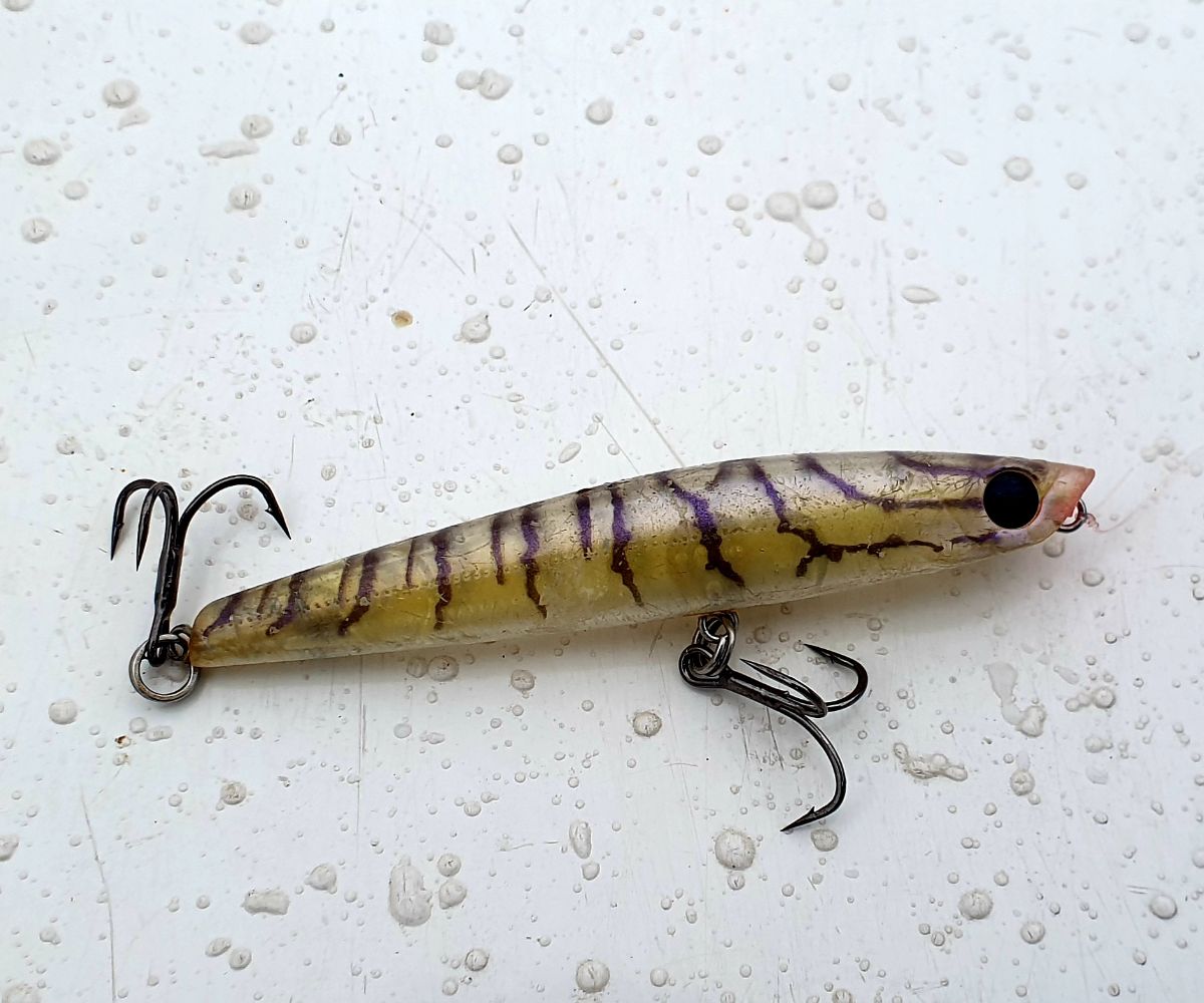Fishing Cape York fishing photo 12