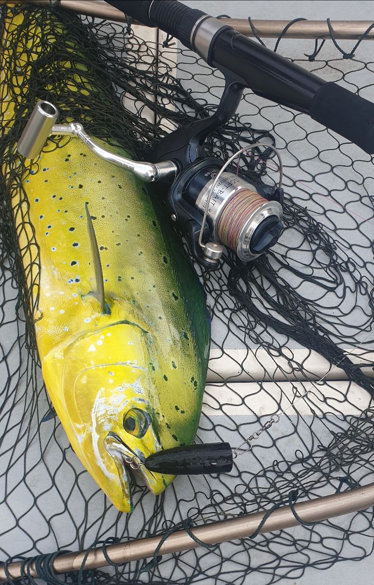 Fishing Cape York fishing photo 19