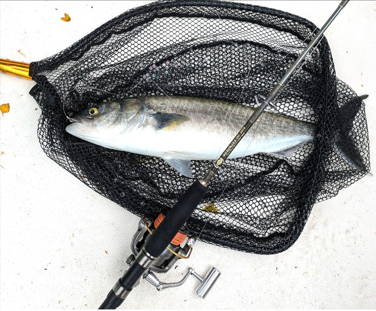 Fishing for Fun fishing photo 6