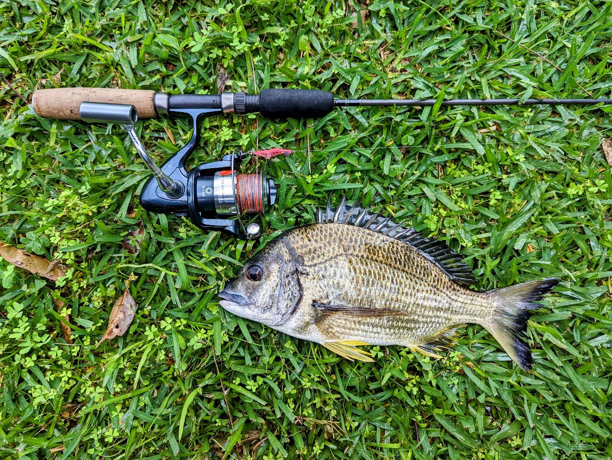 Fishing for the Fridge fishing photo 2