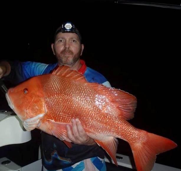 fishing report Wednesday 2nd November 2016 fishing photo 5