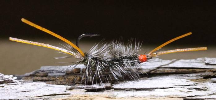 fishing report Wednesday 2nd November 2016 fishing photo 30