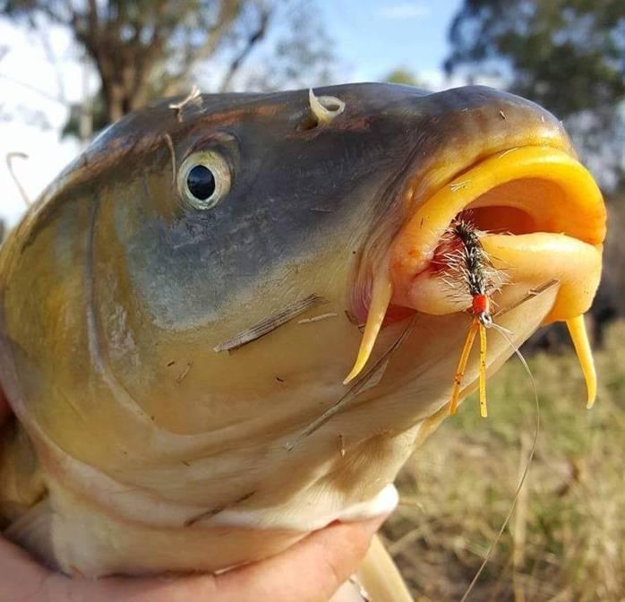 fishing report Wednesday 2nd November 2016 fishing photo 31