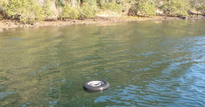 Fishing reports Downrigger Shop Monday 12th September 2016 fishing photo 4