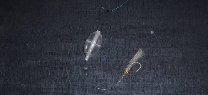 Fishing reports Downrigger Shop Monday 12th September 2016 fishing photo 6