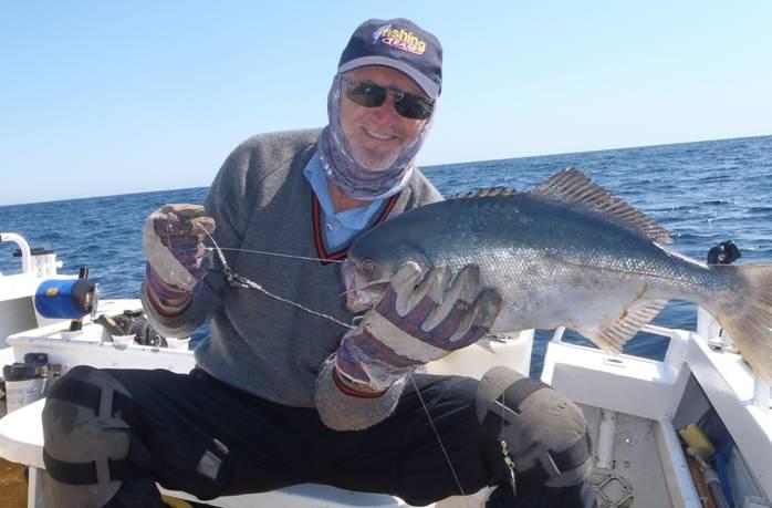 Fishing reports Downrigger Shop Monday 12th September 2016 fishing photo 9