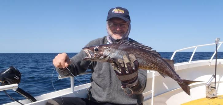 Fishing reports Downrigger Shop Monday 12th September 2016 fishing photo 10