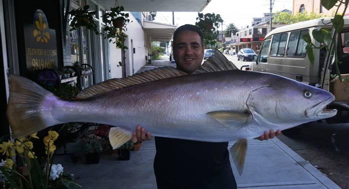 Fishing reports Downrigger Shop Monday 12th September 2016 fishing photo 18
