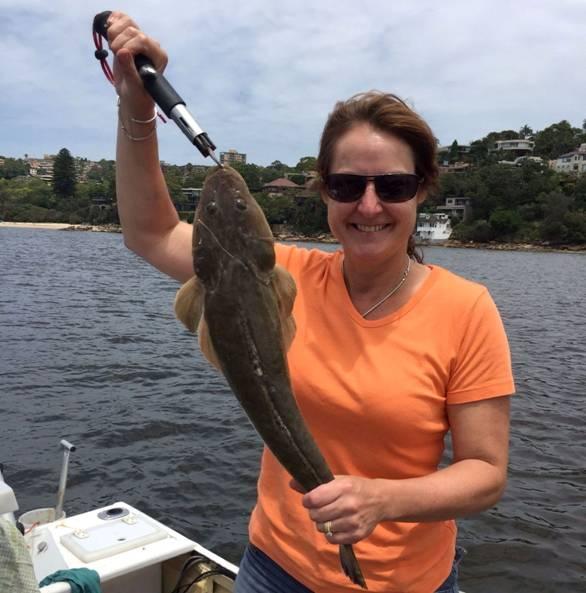Fishing reports from Downrigger Shop Monday 25th January 2016 fishing photo 8