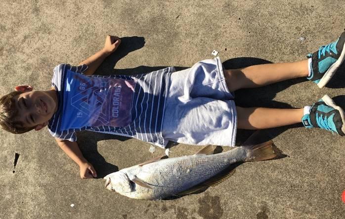 Fishing reports from Downrigger Shop Monday 25th January 2016 fishing photo 9