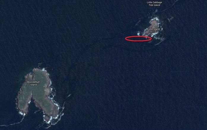 Fishing reports from Downrigger Shop Monday 25th January 2016 fishing photo 21
