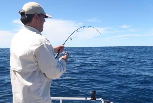 Fishing reports from Downrigger Shop Monday 25th January 2016 fishing photo 27