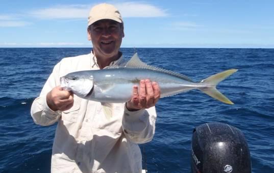 Fishing reports from Downrigger Shop Monday 25th January 2016 fishing photo 28
