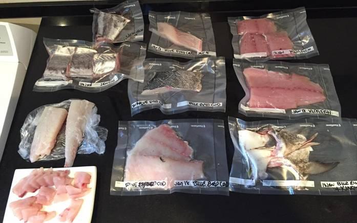 Fishing reports from Downrigger Shop Monday 25th January 2016 fishing photo 29