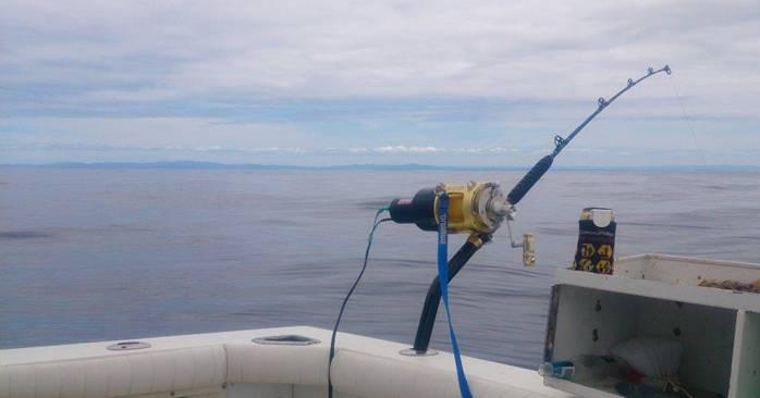 Fishing reports from Downrigger Shop Monday 8th February 2016 fishing photo 6