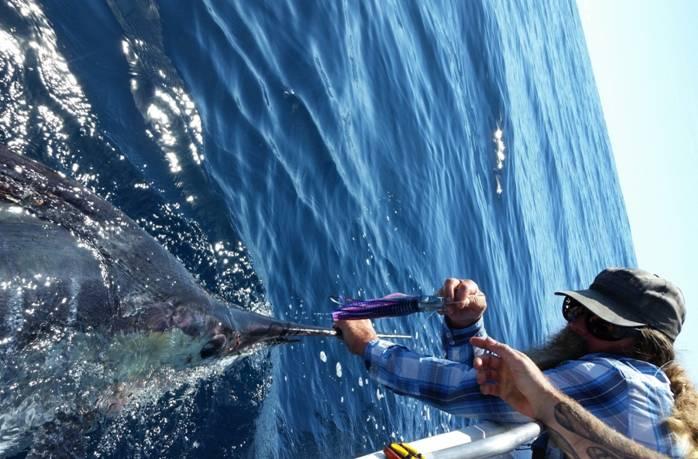 Fishing reports from Downrigger Shop Monday 8th February 2016 fishing photo 8