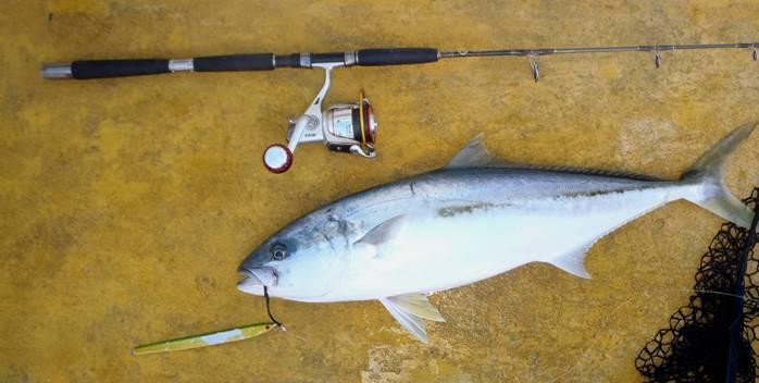 Fishing reports, tackle specials and angling politics from Downrigger Shop, Friday 26th August 2016 fishing photo 23