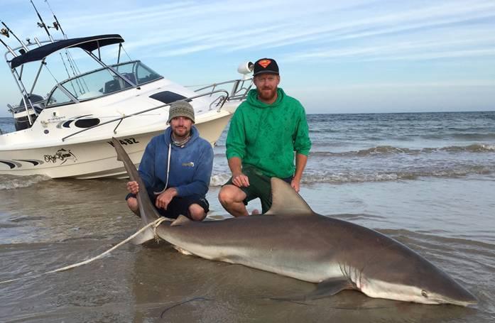Fishing reports, tackle specials and angling politics from Downrigger Shop Friday 4th March 2016 fishing photo 9