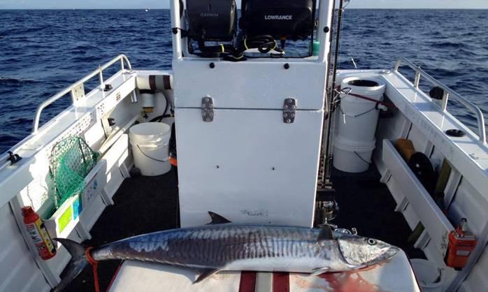 Fishing reports, tackle specials and angling politics from Downrigger Shop Friday 4th March 2016 fishing photo 16