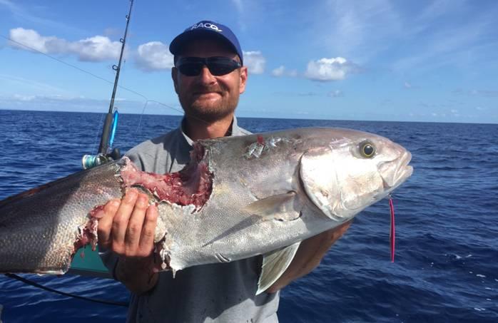 Fishing reports, tackle specials and angling politics from Downrigger Shop Friday 4th March 2016 fishing photo 24