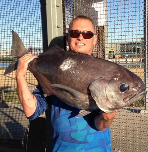 Fishing reports, tackle specials and angling politics from Downrigger Shop, Monday 23rd May 2016 fishing photo 4