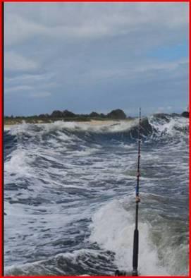 Fishing reports, tackle specials and angling politics from Downrigger Shop, Monday 23rd May 2016 fishing photo 29
